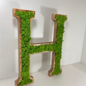 Houten Letters met Rendiermos, Decoratieletters, 3D Letters